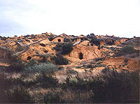 Bodegas tradicionales